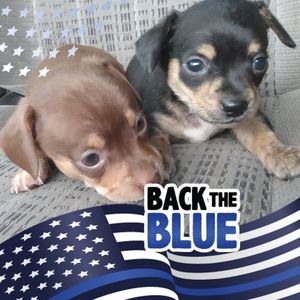 Meet your Posher, Tabitha